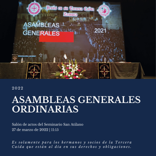 ASAMBLEAS GENERALES ORDINARIAS-p